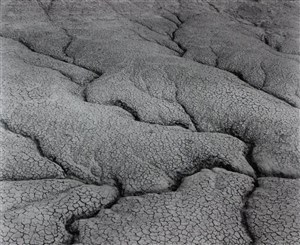 Image description is not available for 2012.018